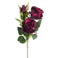 RÓŻA - Gałązka 2 kwiaty i pąk Purple Noir 63 cm